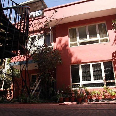 Ojas Wellness B&B Lalitpur Exterior photo
